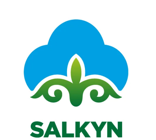 salkyn